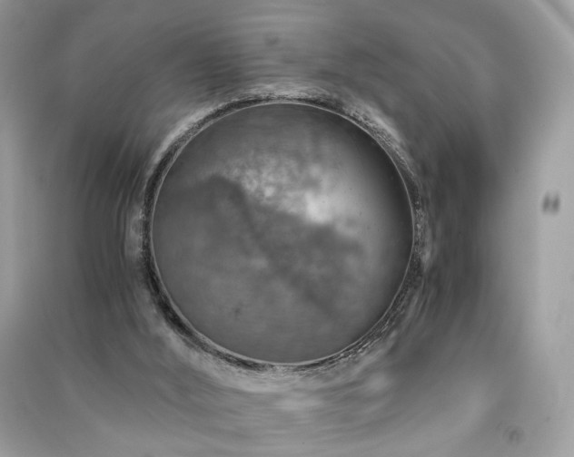 X0000091360012200708101429