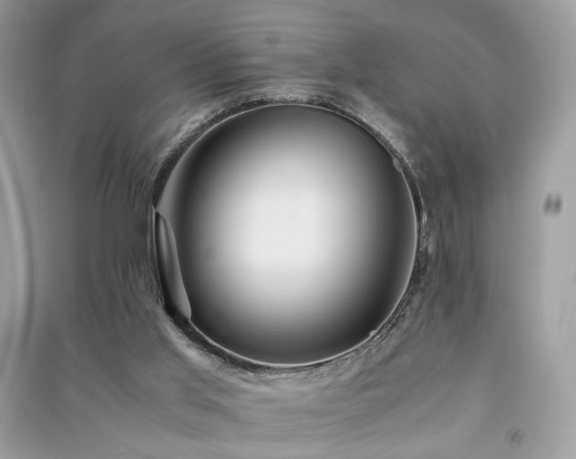 X0000091360013200708101429