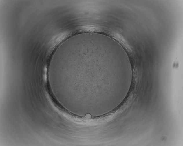 X0000091360014200708101429