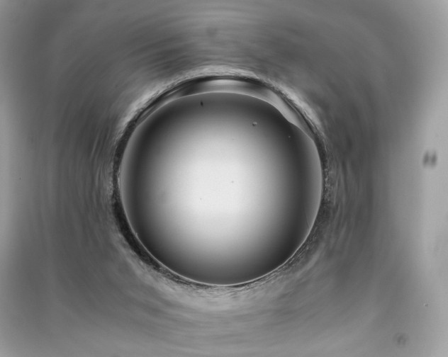 X0000091360015200708101429