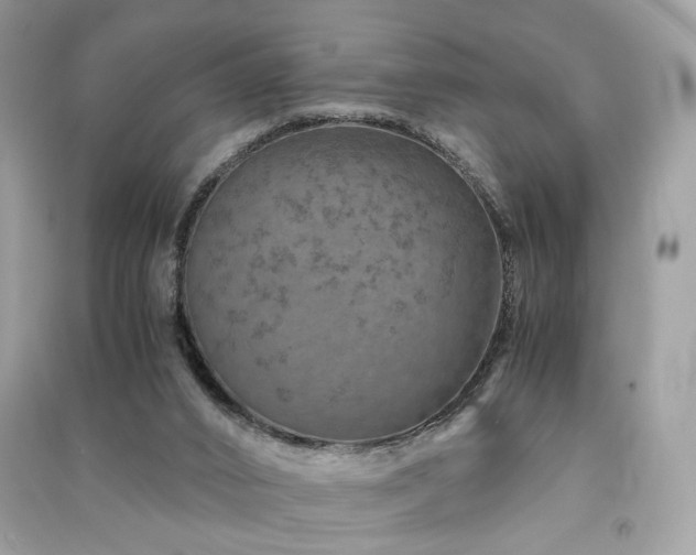X0000091360016200708101429