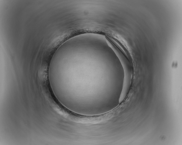 X0000091360017200708101429