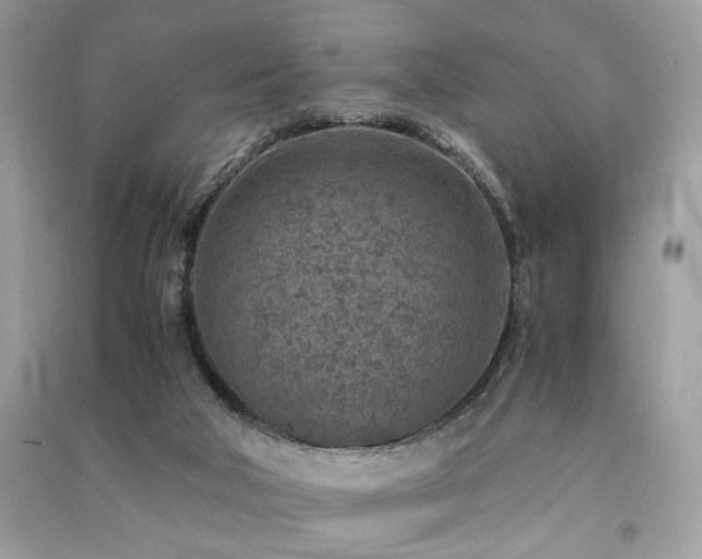 X0000091360018200708101429