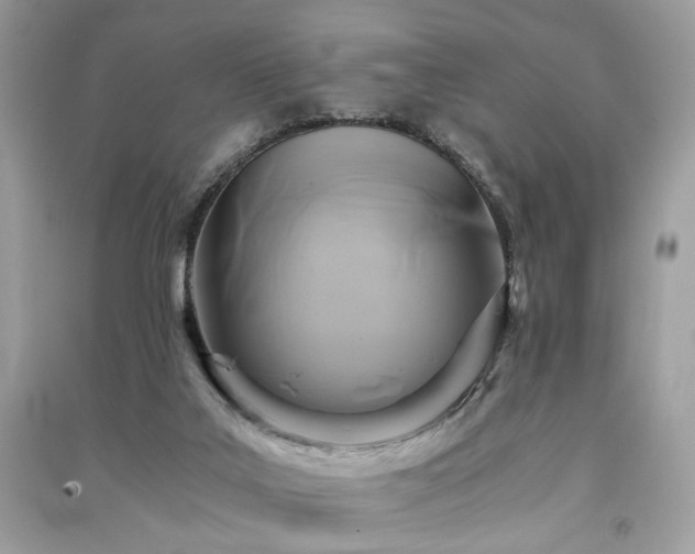 X0000091360019200708101429
