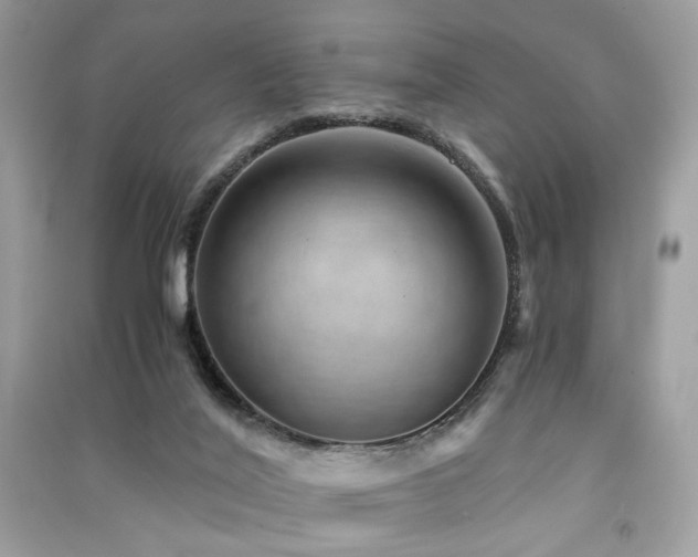 X0000091360020200708101429