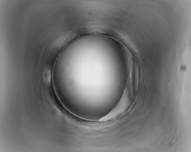 X0000091360021200708101429