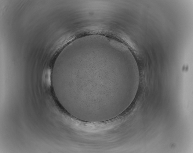 X0000091360022200708101429