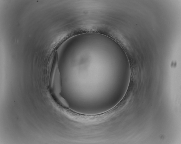 X0000091360023200708101429