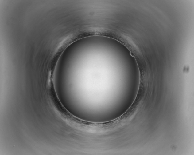 X0000091360024200708101429