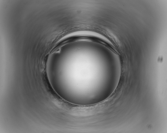 X0000091360025200708101428