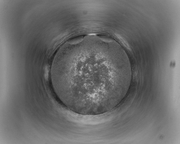 X0000091360026200708101428