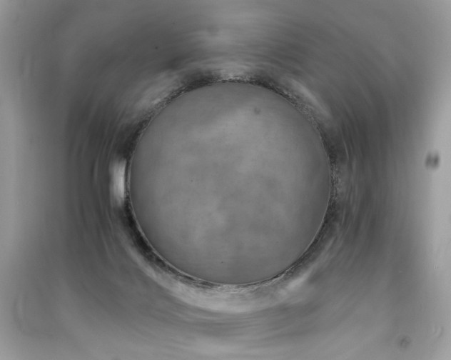 X0000091360028200708101428