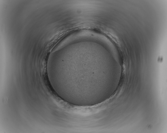 X0000091360029200708101428