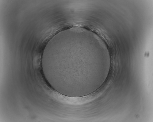 X0000091360030200708101428