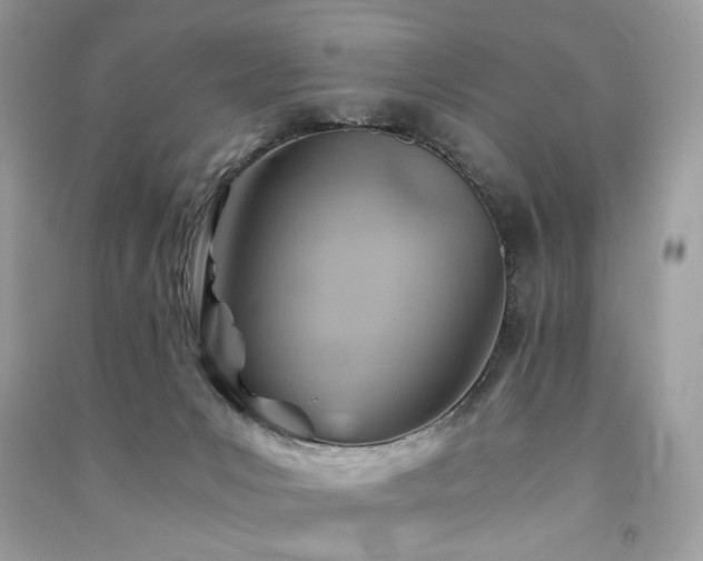 X0000091360031200708101428