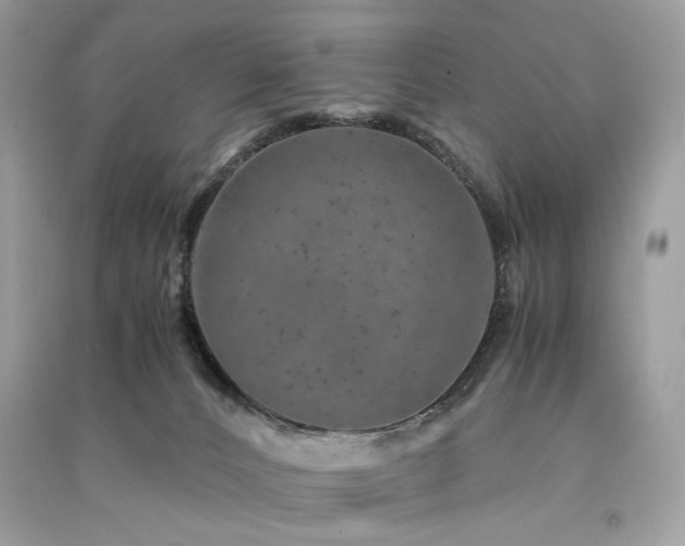 X0000091360032200708101428