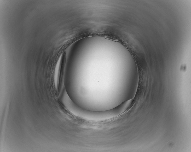 X0000091360033200708101428
