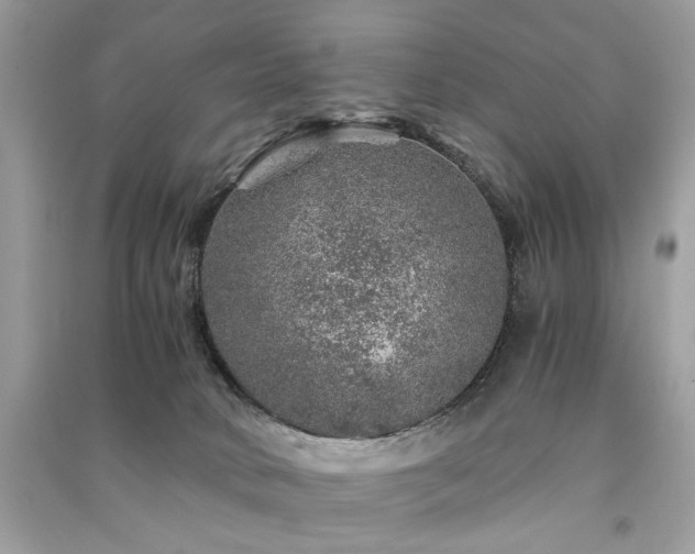 X0000091360034200708101428