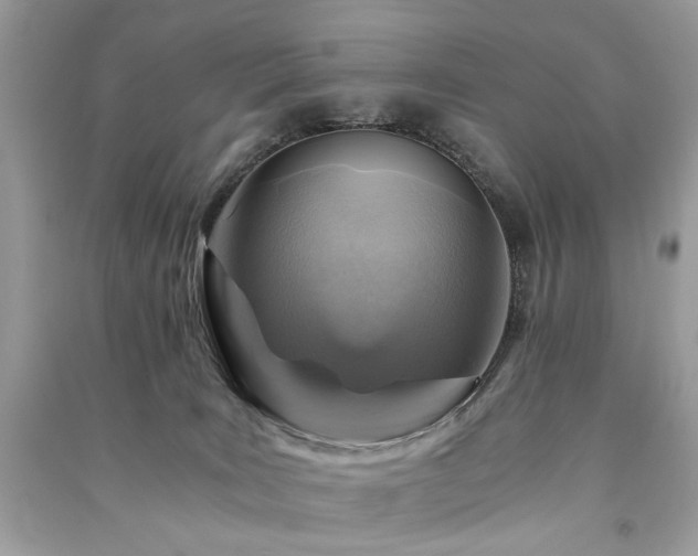 X0000091360035200708101428