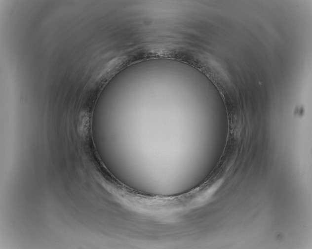 X0000091360036200708101428