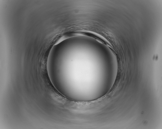 X0000091360037200708101428
