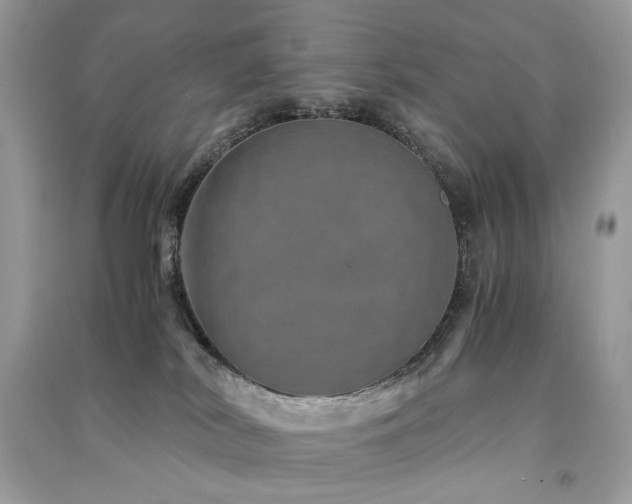 X0000091360038200708101428