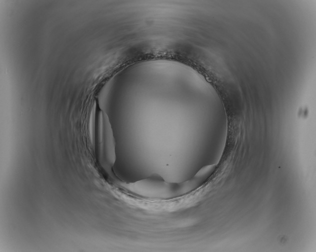 X0000091360039200708101428