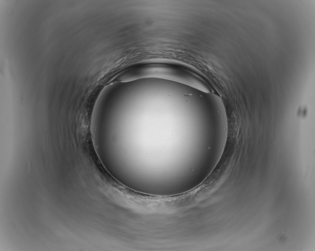X0000091360040200708101428