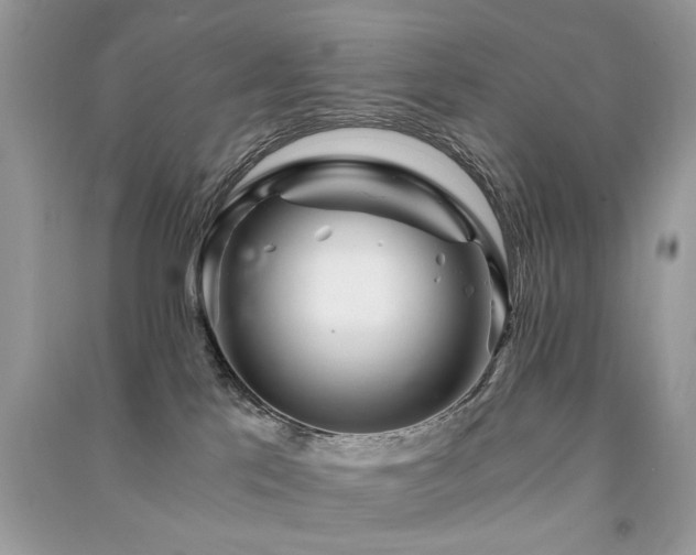 X0000091360041200708101428