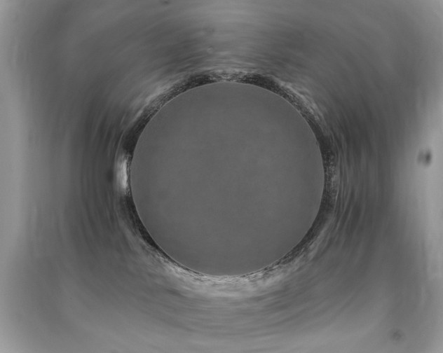 X0000091360042200708101428