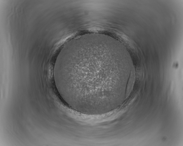 X0000091360043200708101428