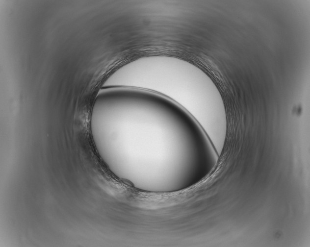 X0000091360045200708101428