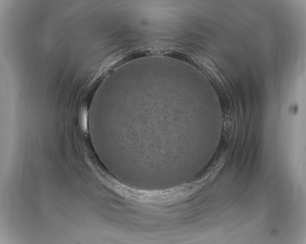 X0000091360046200708101428