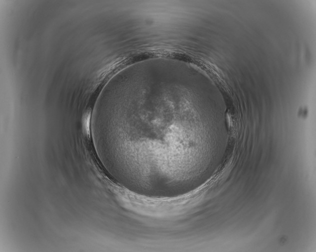 X0000091360047200708101428
