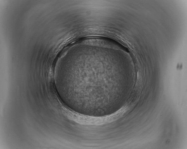 X0000091360048200708101428