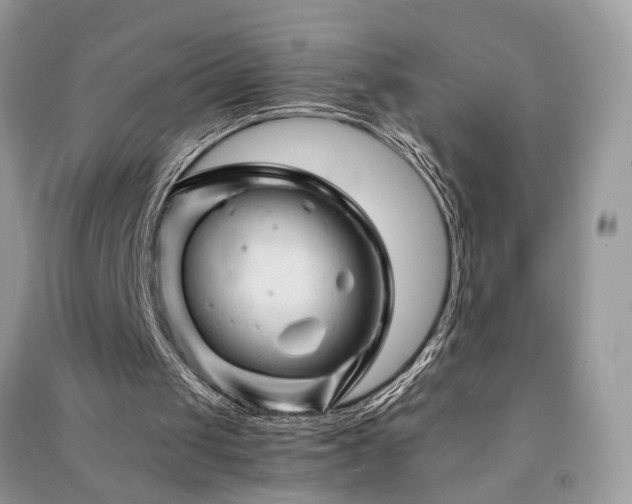 X0000091360049200708101427