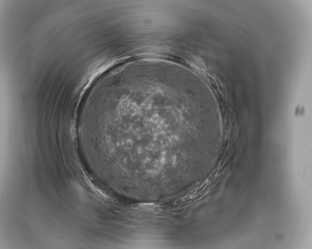 X0000091360050200708101427