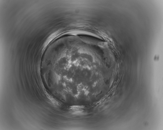 X0000091360051200708101427