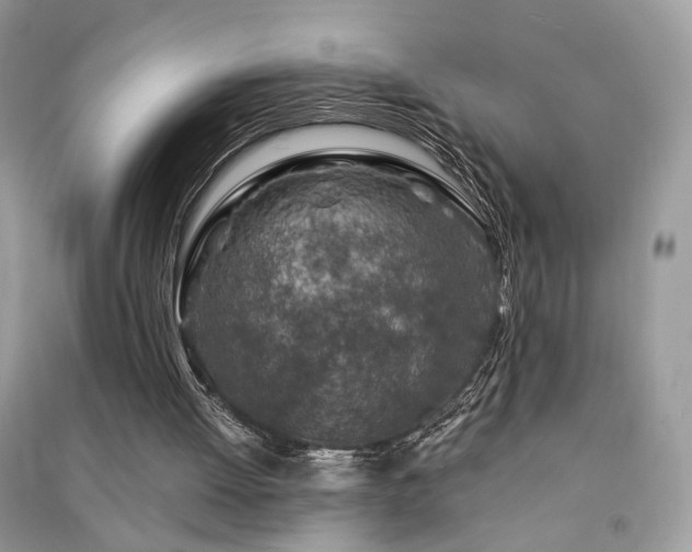 X0000091360052200708101427
