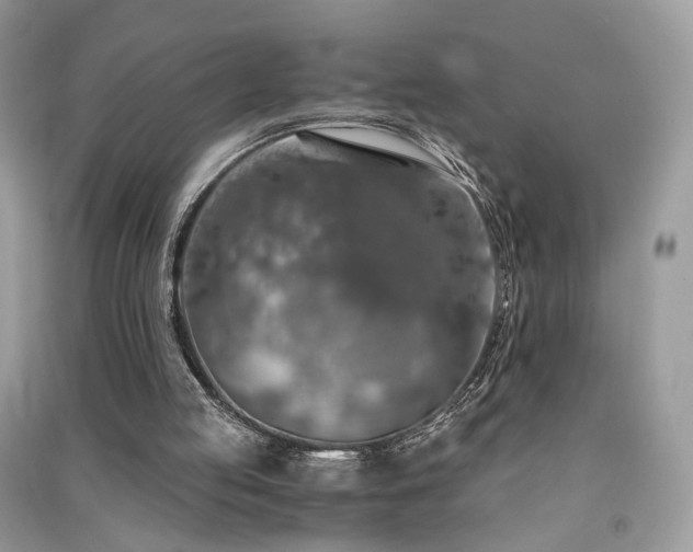 X0000091360053200708101427