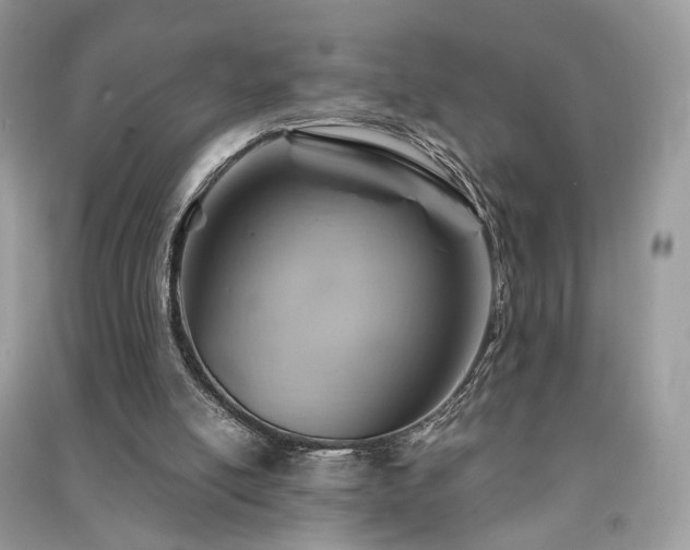 X0000091360054200708101427