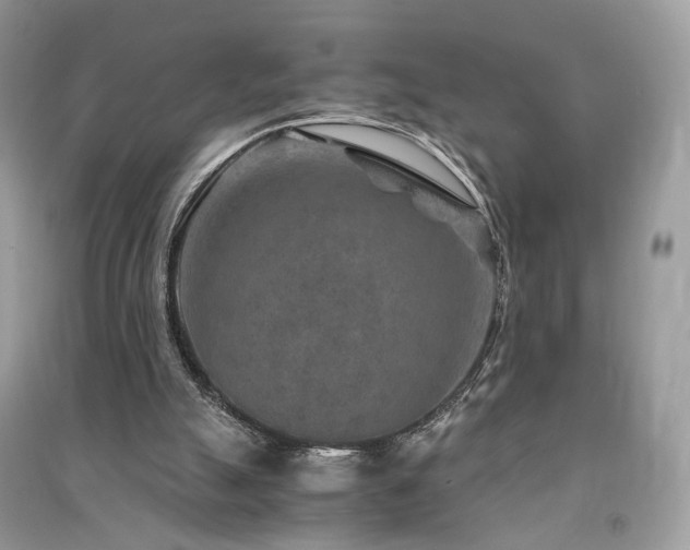 X0000091360055200708101427
