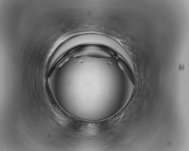 X0000091360056200708101427