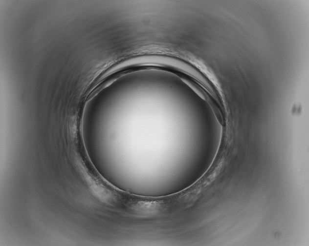 X0000091360057200708101427