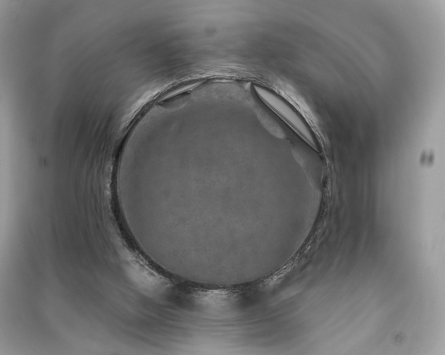 X0000091360058200708101427