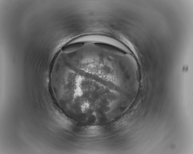 X0000091360059200708101427