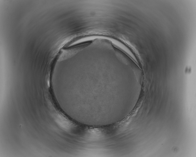 X0000091360062200708101427