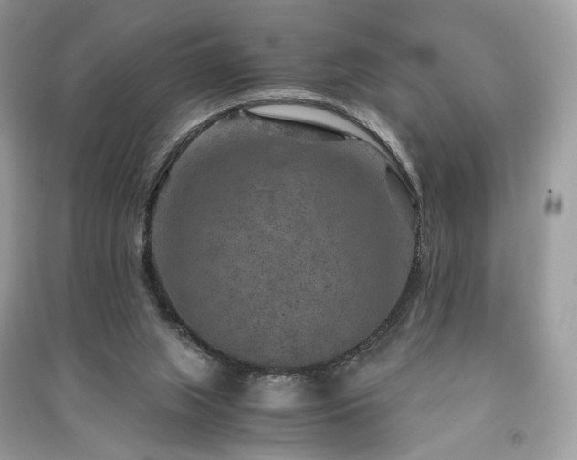X0000091360063200708101428