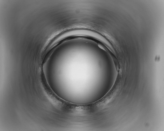 X0000091360064200708101428