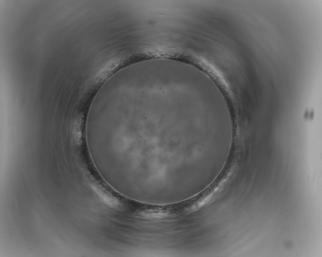 X0000091360065200708101428